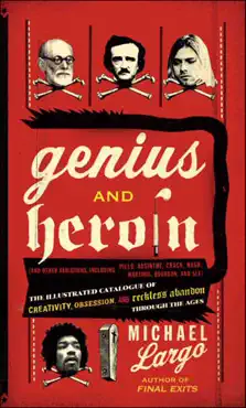 genius and heroin book cover image