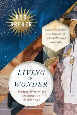 living in wonder book cover image