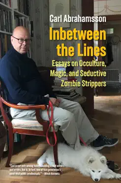 inbetween the lines book cover image