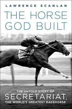 the horse god built book cover image