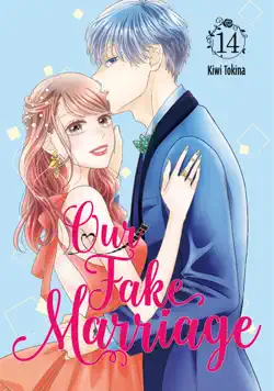 our fake marriage volume 14 book cover image