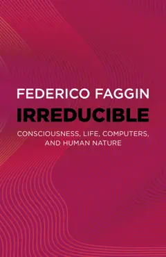 irreducible book cover image