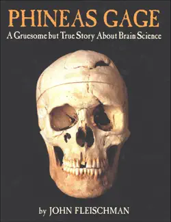 phineas gage book cover image