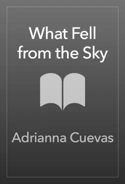 what fell from the sky book cover image