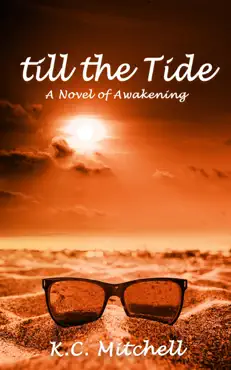 till the tide, a novel of awakening book cover image