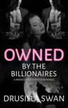 Owned by the Billionaires synopsis, comments
