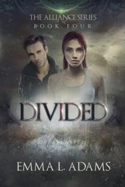 divided book cover image