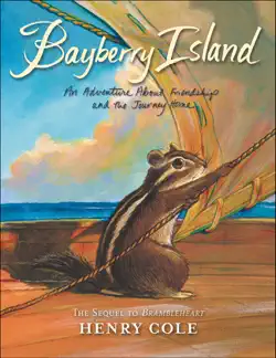 bayberry island imagen de la portada del libro