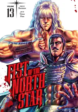 fist of the north star, vol. 13 book cover image