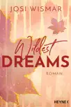 Wildest Dreams synopsis, comments