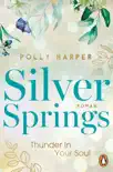 Silver Springs. Thunder in Your Soul sinopsis y comentarios