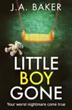 Little Boy, Gone synopsis, comments