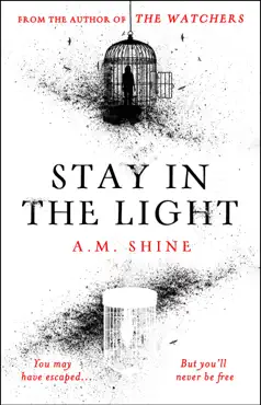 stay in the light book cover image