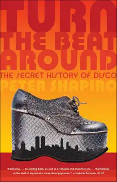 turn the beat around book cover image