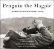 Penguin the Magpie synopsis, comments