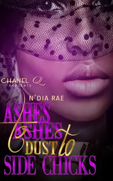 ashes to ashes, dust to side chicks book cover image
