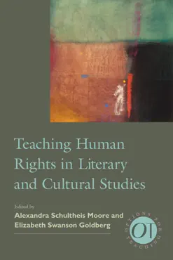 teaching human rights in literary and cultural studies book cover image