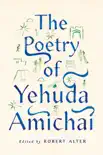 The Poetry of Yehuda Amichai synopsis, comments