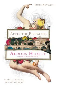 after the fireworks book cover image