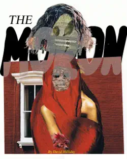 the moron book cover image