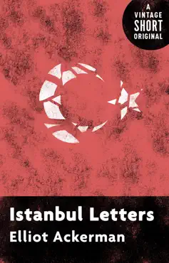 istanbul letters book cover image