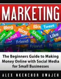 Marketing: The Beginners Guide to Making Money Online with Social Media for Small Businesses e-book