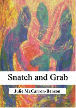 snatch and grab book cover image