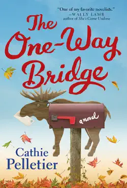 the one-way bridge book cover image