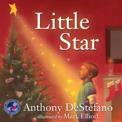 little star book cover image