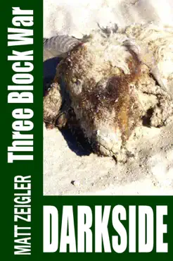 three block war book cover image