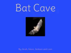 bat cave book cover image