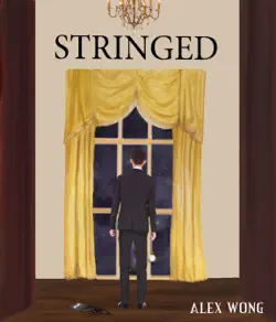 stringed book cover image