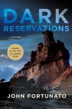 dark reservations book cover image