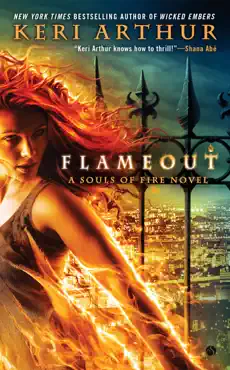 flameout book cover image