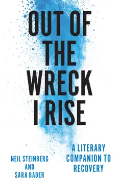out of the wreck i rise book cover image