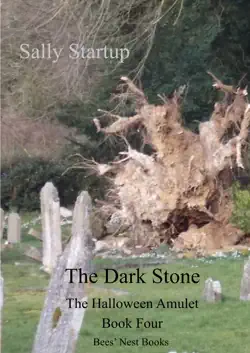 the dark stone book cover image