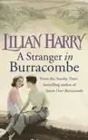A Stranger In Burracombe synopsis, comments
