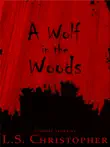 A Wolf in the Woods synopsis, comments