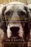 Dog Medicine synopsis, comments