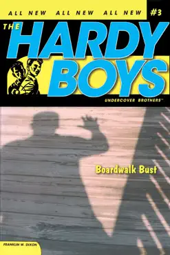 boardwalk bust book cover image