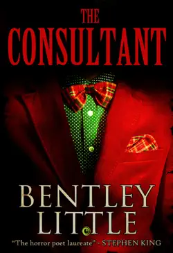 the consultant book cover image