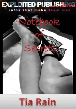 notebook of secrets book cover image