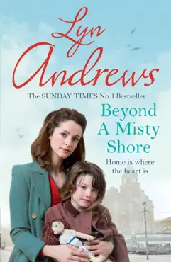 beyond a misty shore book cover image