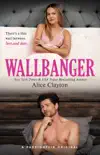 Wallbanger synopsis, comments