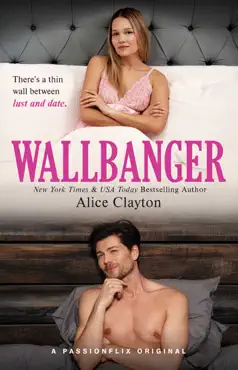wallbanger book cover image