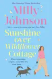 Sunshine Over Wildflower Cottage synopsis, comments