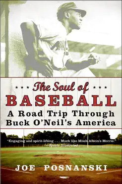 the soul of baseball book cover image