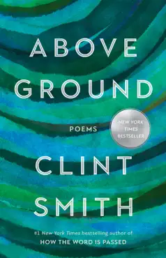 above ground book cover image