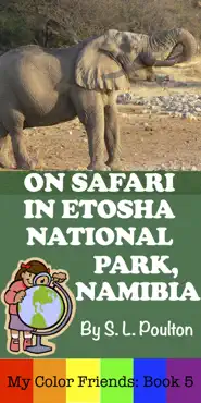on safari in etosha national park, namibia book cover image