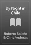 By Night in Chile sinopsis y comentarios